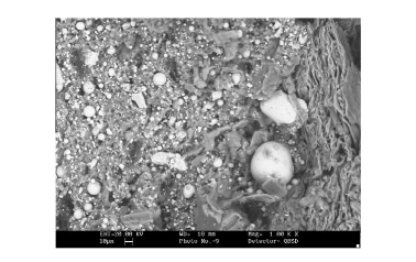 Microstructure of waste tire rubber and carbon black.