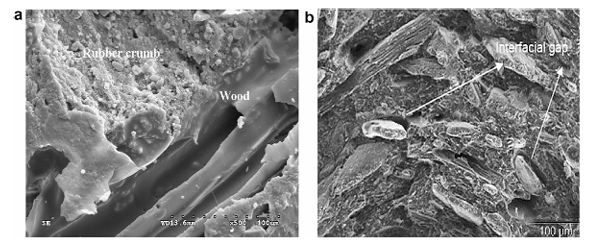 SEM photomicrographs of WRCP were the failure mode of the fractured surface: (a) of 40 wt.% tire crumbs shows a good interfacial layer in the wooden matrix with sufficient PMDI and (b) show worse interfacial structure in WRCP with relatively lesser number of PMDI content (magnification $* 5 0$ ).